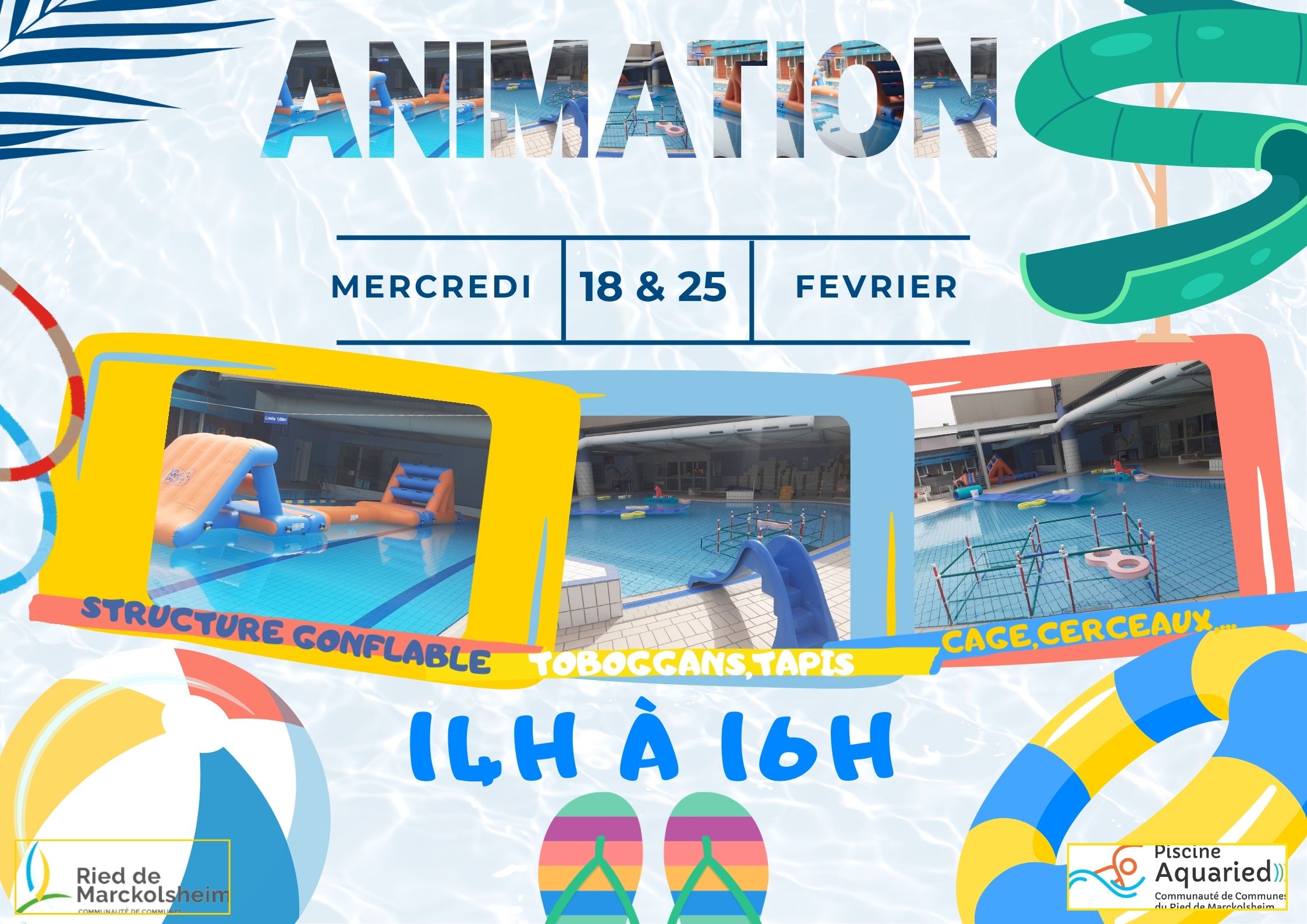 ANIMATION FEVRIER 2026